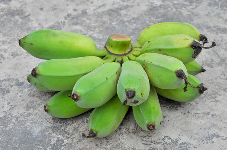 Bananas are harvested before its fruit is ripe, it is yellow.の写真素材