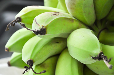 Bananas are harvested before its fruit is ripe, it is yellow.の写真素材