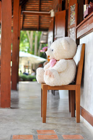 the big teddy bear sit on the chairの写真素材