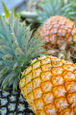 Fresh pineapples from farmersの写真素材