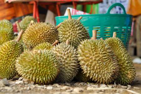 Durian LONG-LIN LAPLAE small durian, but it is delicious.の写真素材