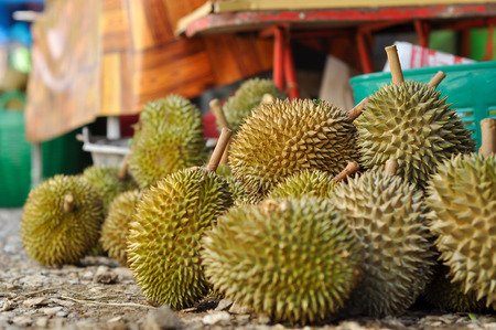 Durian LONG-LIN LAPLAE small durian, but it is delicious.の写真素材