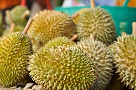 Durian LONG-LIN LAPLAE small durian, but it is delicious.の写真素材