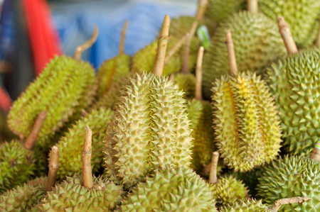 Durian LONG-LIN LAPLAE small durian, but it is delicious.の写真素材