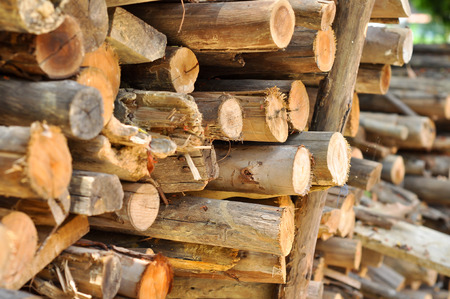 Firewood as a fuel source that is readily available.fの写真素材