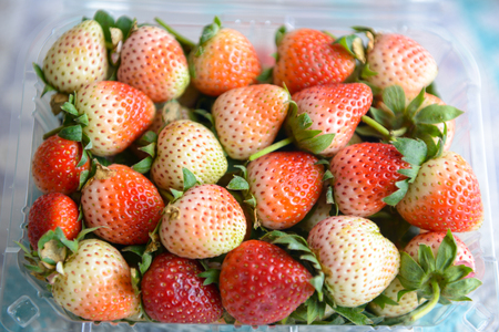 fresh strawberry is a healthy fruiteの写真素材