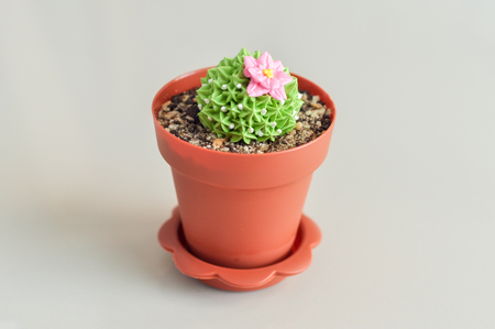 Cactus-shaped fancy cake with a delicious taste.の写真素材