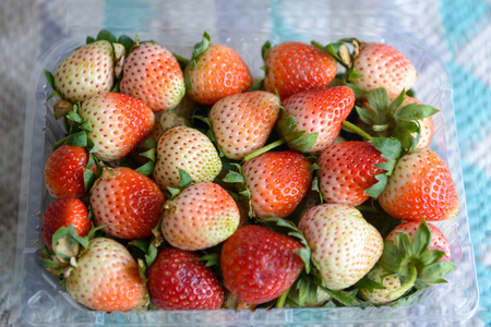 fresh strawberry is a healthy fruite in plastic boxの写真素材