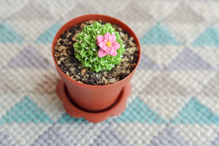 Cactus-shaped fancy cake with a delicious taste.の写真素材