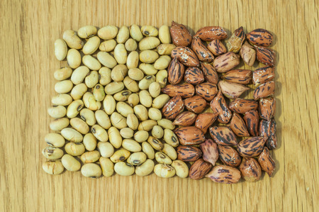 baked soybean on woodden backgruondの写真素材
