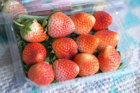 fresh strawberry is a healthy fruite in plastic boxの写真素材