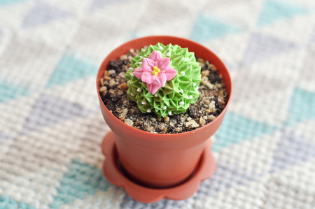 Cactus-shaped fancy cake with a delicious taste.の写真素材