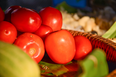 Tomatoes in a basket in the evening light.の写真素材