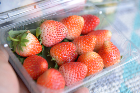 fresh strawberry is a healthy fruite in plastic boxの写真素材