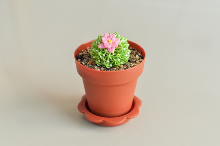 Cactus-shaped fancy cake with a delicious taste.の写真素材