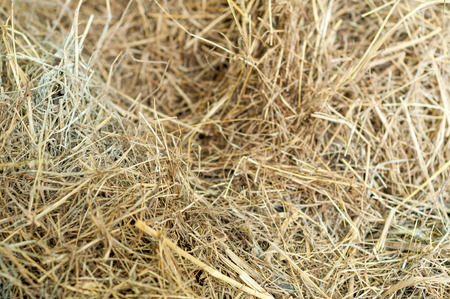 Clutter of hay used as animal feedの写真素材