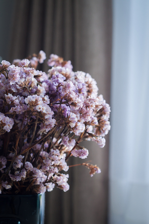 Dry purple flowers placed near windowの写真素材
