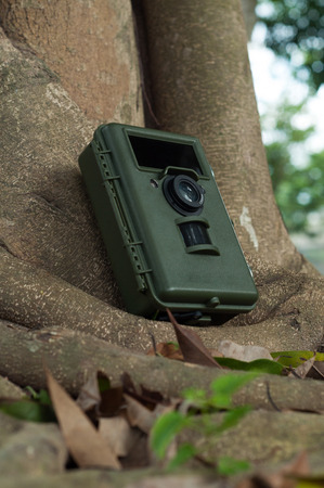 Camera trapping is an important tool in forest survey and research.