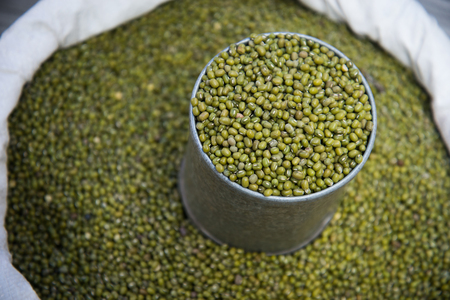 Green beans was put in a can on a sack.の写真素材