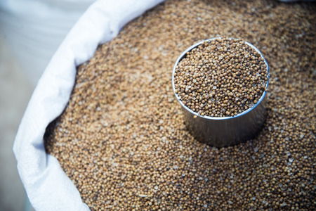 Coriander Seed was put in a can on a sack.の写真素材
