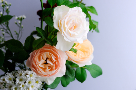Roses for romantic Valentines Festivalの写真素材