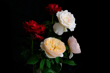 Roses for romantic Valentines Festivalの写真素材