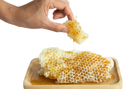 Honey in the honeycombの写真素材