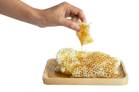 Honey in the honeycombの写真素材