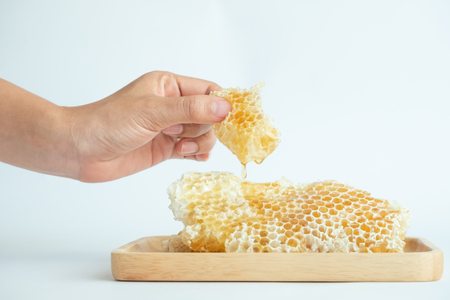 Honey in the honeycombの写真素材