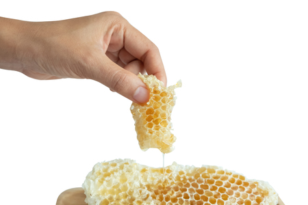 Honey in the honeycombの写真素材