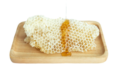 Honey in the honeycombの写真素材