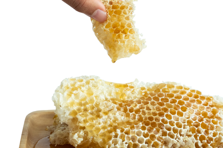 Honey in the honeycombの写真素材