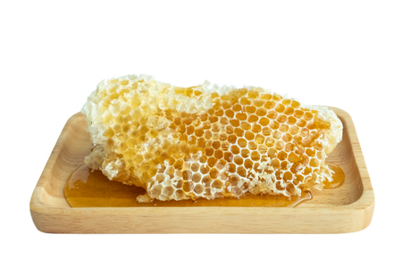 Honey in the honeycombの写真素材