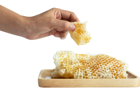 Honey in the honeycombの写真素材