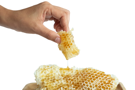Honey in the honeycombの写真素材