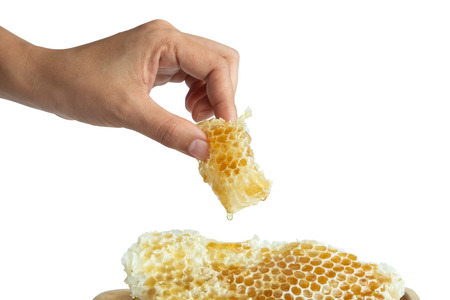 Honey in the honeycombの写真素材