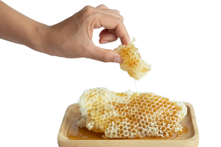 Honey in the honeycombの写真素材