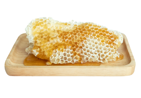 Honey in the honeycombの写真素材