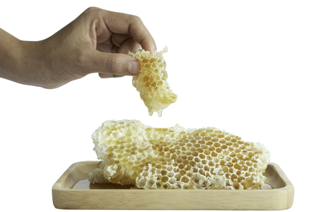 Honey in the honeycombの写真素材