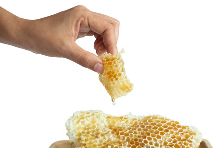 Honey in the honeycombの写真素材