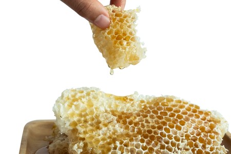 Honey in the honeycombの写真素材