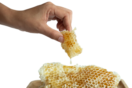 Honey in the honeycombの写真素材