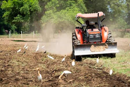 Farmers use the tractor to plow the area to cultivate the crab.の写真素材