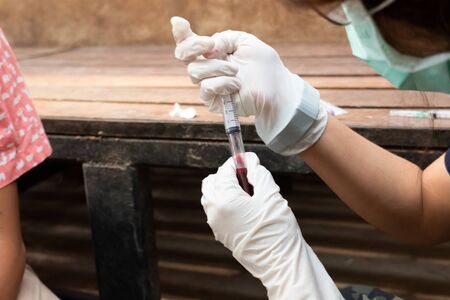 Annual blood sample collection from tigers for health examination