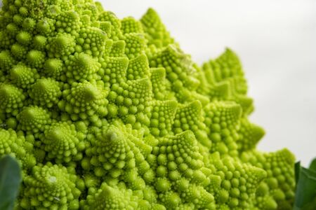 Romanesco broccoli has many benefits such as vitamin B, vitamin C, folate, iron, potassium and amino acids.の写真素材