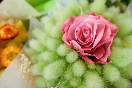 Colorful bouquet of dried flowersの写真素材