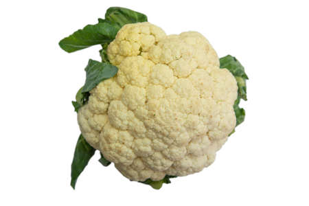 Cauliflower is a plant in the cruciferous family, as well as broccoli and cabbage.の写真素材
