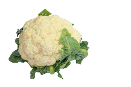 Cauliflower is a plant in the cruciferous family, as well as broccoli and cabbage.の写真素材