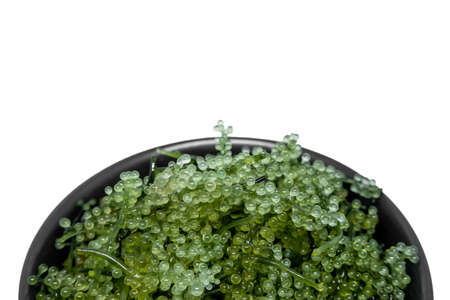Sea Grapes in the black bowlの写真素材