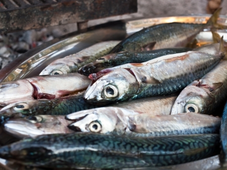 Fresh mackarel fish prepared for a grillの写真素材